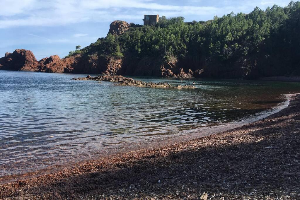 "Les Alizes" Cote Piscine Proche Bord De Mer Сен-Рафаэль Экстерьер фото