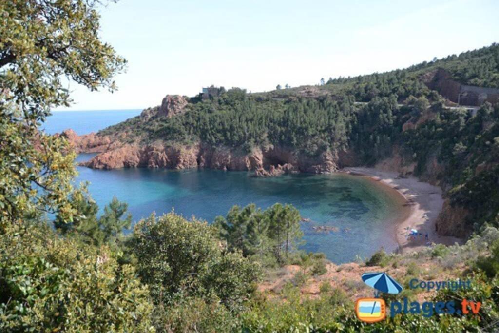 "Les Alizes" Cote Piscine Proche Bord De Mer Сен-Рафаэль Экстерьер фото